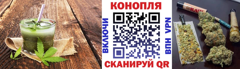 купить   Магас  Canna-Cookies конопля 
